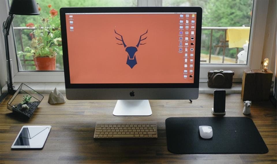 Computer & IT Accessories